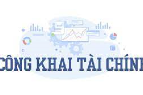 Công bố công khai số liệu quyết toán ngân sách nhà nước năm 2024 của Trường THPT Vũng Tàu