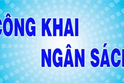 Quyết định công bố công khai tình hình thực hiện dự toán thu, chi ngân sách 06 tháng đầu năm 2026